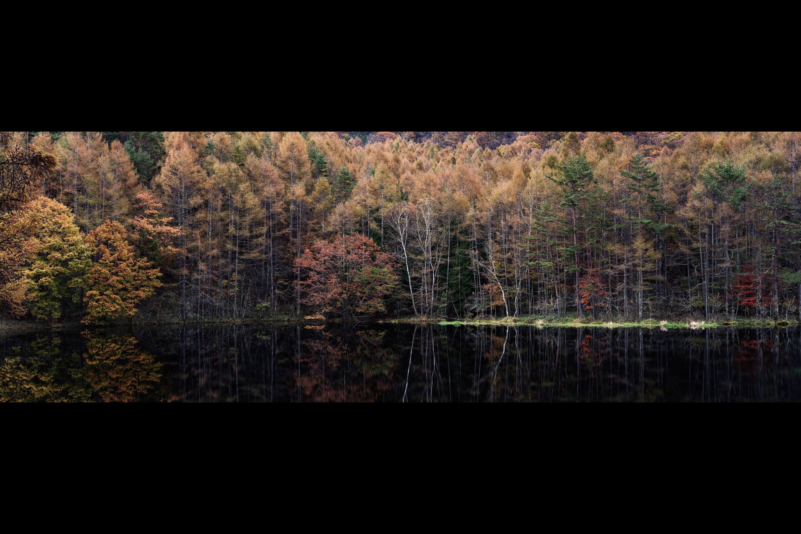 α会写真展 (グループ展)